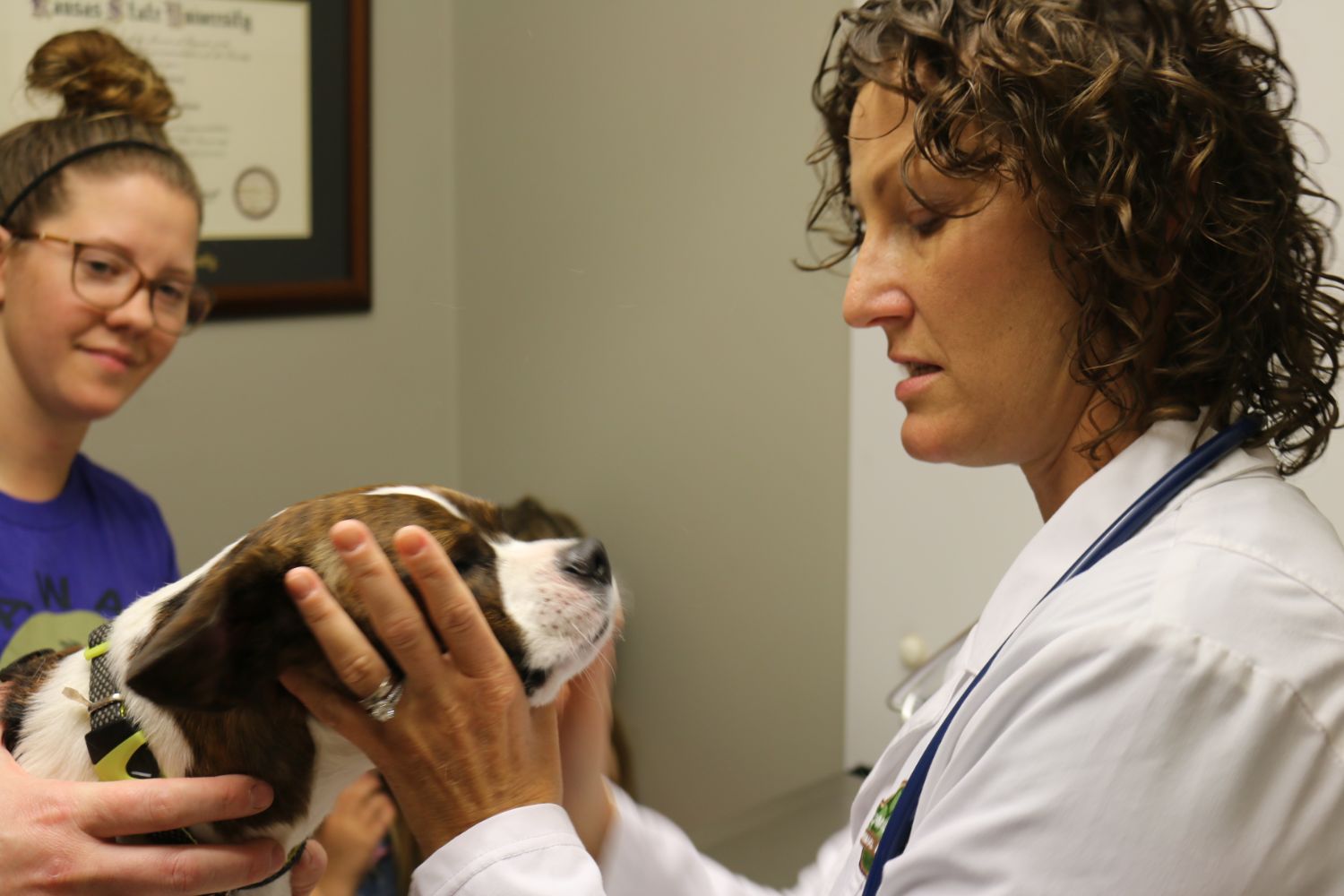 New Client Center Companion s Choice Animal Hospital