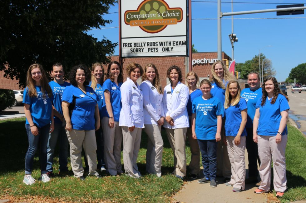 Best Veterinarian in Hastings, NE Companion's Choice Animal Hospital